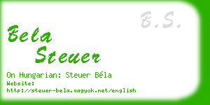 bela steuer business card